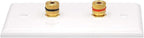 VCE UL-Listed Speaker Wall Plate Gold-Plated, 2-Port Keystone Wall Plate with Banana Jack Binding Post Keystone Jack Insert for Speakers, 2 Pack
