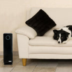 GermGuardian 5-In-1 HEPA Air Purifier for Home, Pet Air Purifier with HEPA Air Filter & UV-C Light, AC4300BPTCA, 743 Sq. Ft., 22'' Tower, Black