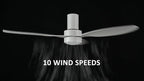 SMAAIR 52 Inch Ceiling Fan with Light and Remote Control, Flush Mount Ceiling Fans with Lights, Reversible, Noiseless DC Motors, Dimmable, Indoor Ceiling Fan for Bedroom, Living Room, White