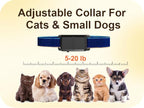 FLYSPEAR Extra Receiver Collar for Indoor Wireless Cat Barrier, Receiver Collar Only,Black