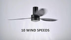 SMAAIR Ceiling Fan with Light and Remote Control 52 Inch, Flush Mount Ceiling Fans with Lights, Reversible, Noiseless DC Motors, Dimmable, Indoor Ceiling Fan for Bedroom, Living Room, Black