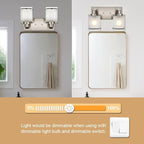 WINSHEN 2-Lights Wall Sconce Lighting, Brushed Nickel Bathroom Vanity Light Fixture with Rectangular Frosted Glass for Over Mirror, E26 Bulb Base