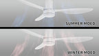 SMAAIR 52 Inch Ceiling Fan No Light with Remote, Flush Mount Modern Ceiling Fan without Lights, Quiet DC Motor, 10 Speed Adjustable, Indoor 3 Blade Ceiling Fan for Indoor Bedroom Living Room, White