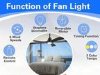 Gaizw Ceiling Fans with Lights, 60 Inch Ceiling Fan with Light and Remote Control, Quiet DC Motor 3 Blade Ceiling Fan for Farmhouse Living Room Bedroom Office Indoor Outdoor(Black Fan)