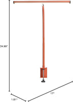 Airlonv LED Desk Lamp for Office Home, Eye-Caring Desk Light with Stepless Dimming Adjustable Flexible Gooseneck, 10W USB Adapter Desk Lamp with Clamp for Reading, Study, Workbench (Orange)