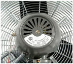 Global Industrial Commercial Wall Mount Fan, Fixed and Oscillating, 30" Diameter, 1/3 HP, 3 Speed, 8775 CFM at 1100 RPM, Tilting Head, For Indoor Use Only