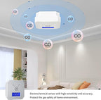 TALLPOWER Carbon Monoxide Detector,CO Gas Monitor Alarm,CO Sensor with LCD Digital Display and Sound Warning,CO Alarm with Sensitive CO Sensor,Battery Powered,for Home,Bedroom,Warehouse(2 Packs)