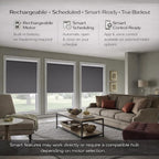 ZSHINE Motorized Blackout Window Blinds Customize Width (23-95 Inches) Remote Control Wireless and Rechargeable Roller Shades Blinds for Windows, Home, Office, Hotel, Club, Restaurant(82010l)