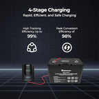 Renogy Solar Charge Controller Rover 40A 12V24V Auto Parameter DC Input MPPT Charge Controllers for Solar Panels Adjustable LCD for Gel Sealed Flooded Lithium Battery