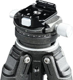 FALCAM F38 Quick Release Base V2, Quick Release System, Base with 1/4" and 3/8" Screw Thread for Tripod, Monopod, Stabilizer, Slider - 3364