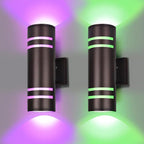 rosykite Smart Outdoor Wall Lights Color Changing 2 Pack, RGB+2700K-6500K Modern Exterior Lighting Fixtures Cylinder Outside Wall Sconce with Glass, WiFi APP Control Up Down Outdoor Porch Lights