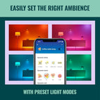 WiZ Connected Smart Light Bulbs, Sunset to Sunrise Automation + Motion Detection + Control with Voice or App, Full Color A19 60W 800LM Indoor, Matter Compatible -3 Pack