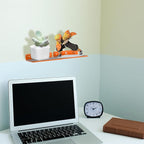 TXEsign Wall Shelves - 2 Pack, Small Wall Mount for Speaker, Webcam, Cell Phones, Display Shelf (Orange, Medium)