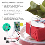 fosa 4 Minutes DIY Greeting Card Chip Music Sound Voice Recording Module Device Chip Recordable Sound Chip for Christmas Cards, Holiday Creative Gift Boxes, Jewelry Boxes, Crafts, Children's Toys