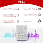 Voice Recorder Box, Support Bluetooth & MIC Recording Audio Box,16MB Sound Module with Speaker,16 Min Easy Sound Voice Box for Personalized Greetings, DIY Projects, Holiday Crafts ect.