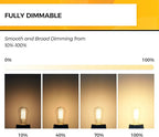 Hizashi Vintage Edison Bulb Dimmable, 6W Equivalent 60W, E26 Base LED Light Bulb, 2700k Warm White, 700LM, High CRI 95+ Eye Protection, Clear Glass, Pack of 24