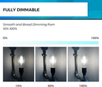 Hizashi LED Edison Bulbs, 6W, Equivalent 60W, Dimmable E26 LED Bulb, Daylight 5000K, 90+ CRI 700 Lumens, ST19 Vintage Light Bulbs, Clear Glass, Pack of 4