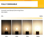 Hizashi LED Edison Bulbs, 6W, Equivalent 60W, Dimmable E26 LED Bulb, 3000K Soft White, 90+ CRI 700 Lumens, ST19 Vintage Light Bulbs, Clear Glass, Pack of 3