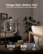 Sunco 24 Pack A15 Light Bulb LED, Edison Style Bulb, Dimmable Vintage Filament Lighting, 800 LM, 7W (60W Equivalent), 5000K Daylight, E26 Medium Base, Wet Rated UL