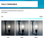 Hizashi Vintage LED Light Bulb Dimmable, 6W Equivalent 60W, E26 Base Led Edison Bulbs, 5000k Daylight, 700LM, High CRI 95+ Eye Protection, Clear Glass, Pack of 18