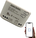 Newgoal 1 Channel Smart WiFi Relay Switching Module USB 5V/AC85V-250V, Supports Bluetooth Control, eWeLink App Remote Control, for Alexa Google Home