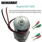 BRINGSMART 24V 5rpm DC Worm Gear Motor 70kg.cm Self-Locking Reversed Mini Turbine Geared Motor for DIY Robot Rotating Table Door Lock Curtain Machine