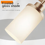 AONEON Vanity Lighting Fixtures with White Frosted Glass Shade, Champagne Bronze Wall Lamps for Bathroom Mirror Bedroom Living Room Porch, 2 Pack T001CPG-L1-P2