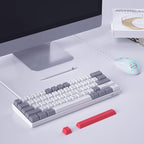 Camiysn 60% Mechanical Gaming Keyboard,Mixed Color Keycaps Gaming Keyboard with Red Switches, Detachable Type-C Cable Mini Keyboard with Blue LED Light for PC/Laptop