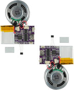 Voice Module,MP3 Music Sound Chips, 16MB Sound Module for Crafts, Christmas, New Year Greeting Cards, Box with Speaker Lithium Battery Powered and USB Cable. (JR-JX7004-Magnet-2P)