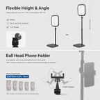 NEEWER Basics 10.8" Video Conference Lighting with Desk Stand & Phone Holder, 15W Bi Color Edge Lit Full Screen Light CRI95+ for Computer Laptop Webcam Zoom Calls Streaming