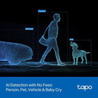 Tapo 2K 3MP Indoor/Outdoor Dual Lens Pan/Tilt Security Camera – 125° Wide-Angle + 6mm Telephoto, Free Person/Vehicle Detection, 360° View, SD/Cloud, Works w/Alexa & Google Assistant – HybridCam Duo