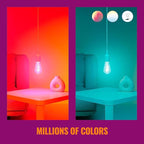 WiZ Color ST19 Color Filament LED Smart Bulb - Pack of 1-300 Lumen - E26 Indoor - Connects to Your Existing Wi-Fi - Control with Voice or App + Activate with Motion - Matter Compatible