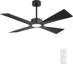 WINGBO 64" Wet Rated Outdoor Ceiling Fan with Lights, 4 ABS Plastic Blades, Reversible DC Motor, 6-Speed Remote Control, 3 CCT, Waterproof Ceiling Fan for Patio Porch Gazebo Garage, Matte Black