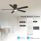 WINGBO 48" DC Flush Mount Ceiling Fan with Lights, 5 Plywood Blades, 6-Speed Reversible DC Motor, 3CCT, Low Profile Hugger Ceiling Fan for Living Room Bedroom Kitchen, Black and Brass