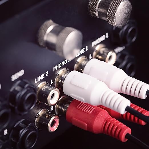 Sjorks RCA Cable 10ft,2RCA Male to 2RCA Male,Audio Stereo Subwoofer Cable [Hi-Fi Sound] Auxiliary Audio Cord for Home Theater, HDTV, Amplifiers, Hi-Fi Systems,Speakers and etc