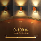 Briignite Night Lights Plug into Wall, Modern LED Night Light Plug in, Dusk to Dawn Sensor, Soft White 3000K, 0-100LM Adjustable Brightness, Dimmable NightLight for Hallway, Bedroom, Stairway, 2 Pack