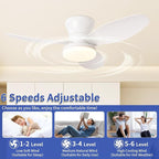 Glowall Small Ceiling Fan with Lights, 32 Inch Flush Mount with Remote Control, Reversible Quiet DC Motor, White, 3 Blades, 6 Speeds, Dimmable LED, Adjustable Color Temperature, Timer