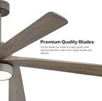 WINGBO 64 Inch DC Ceiling Fan with Lights and Remote Control, 5 Reversible Carved Wood Blades, 6-Speed Noiseless DC Motor, Modern Ceiling Fan in Graphite Finish with Gray Blades, ETL Listed