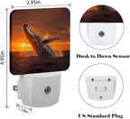FSHVQKD Sunset Humpback Whale Night Light,Plug Into Wall for Boys Girls Bedroom Decorative Square Night Light Lamp 0.5w Sleep Friendly