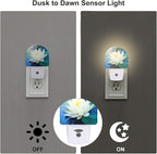 sndheke White Lotus Flower Night Light Plug into Wall, Beautiful Lotus in Pond Dusk to Dawn Night Light Plug in,0.5w Energy Saving Sleep Friendly NightLight for Kids Boys Girls Home Decor