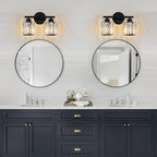 FDPBY Modern 2 Light Crystal Vanity Light, Plating Black Vertical Bathroom Light Fixture Over Mirror for Dressing Table Sink, Compatible with Dimmable Bulbs (Bulbs Not Included)