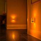 Briignite Night Light, 2 Pack Dimmable Night Lights Plug into Wall, LED Night Light with 0-100 LM Adjustable Brightness, Automatic Night Lights with Dusk to Dawn Sensor, for Bathroom Hallway
