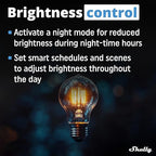 Shelly Dimmer 0/1-10V PM Gen3 | WiFi Smart Dimming with Power Monitoring | Home Automation | Compatible with Alexa & Google Home | iOS Android App | No Hub Required
