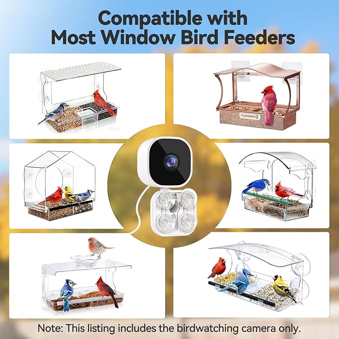 Dzees Window Bird Camera with Strong Suction Cups, 2K HD WiFi Bird Feeder Camera with AI Bird Recognition, Live Streaming, Two-Way Audio, Cloud & SD Storage, Perfect for Bird Lovers and Educators