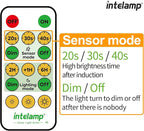 intelamp Solar Flood Lights Outdoor Waterproof, 6000mAh 1200LM Solar Powered Dual Motion Sensor LED Lighting Dusk to Dawn Security Floodlight Exterior with Remote for Outside Garden House Yard Porch