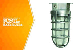 Woods L1706BS Vandal Resistant 150W Incandescent Security Light; Ceiling Mount; Compatible With Up To 50 Watt Standard Base Bulbs; Brushed Steel