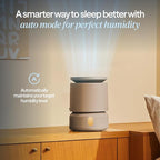 BLUEAIR Room Humidifier - DreamWell - 48Hr Top-Fill Mist-Free InvisibleMist Technology Aroma Stone for Essential Oils and Soothing Mood Lighting - Quiet Operation for Bedroom and Home Use, Grey