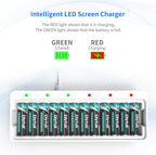 Dlyfull Rechargeable AA Batteries with Charger, 12PCS 2800mAh High Capacity Low Self Discharge Ni-MH Double A Batteries with Battery Charger -USB&Type C Dual Input High-Speed Charging Ports