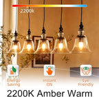 GvvooHome Candelabra Light Bulbs 40 watt Equivalent, E12 LED Bulb Dimmable B10 Candle Light Bulbs, 2200K Amber Warm, Chandelier Light Bulb, 90+CRI, 400LM, Amber Glass Finish, 24 Pack