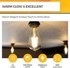 Hizashi LED Edison Bulbs, 6W, Equivalent 60W, Dimmable E26 LED Bulb, 3000K Soft White, 95+ CRI 700 Lumens, ST19 Vintage Light Bulbs, Clear Glass, Pack of 4